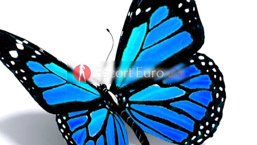 Banner der besten Begleitagentur Butterfly SofiaIn /Bulgarien