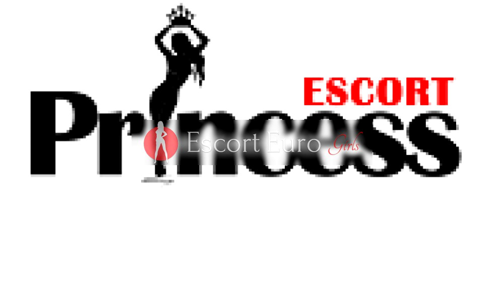 最佳护送机构的旗帜 Princess Escort在 /塞浦路斯