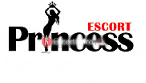 最佳护送机构的旗帜 Princess Escort在利马索尔 /塞浦路斯