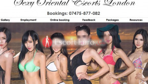 Banner der besten Begleitagentur Sexy Oriental Escorts LondonInLondon /Großbritannien