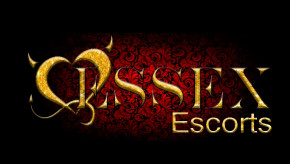 Banner of the best Escort Agency 121 Essex EscortsвЭссекс /Великобритания