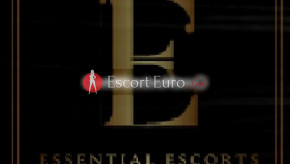 Banner der besten Begleitagentur Essential EscortsInLondon /Großbritannien