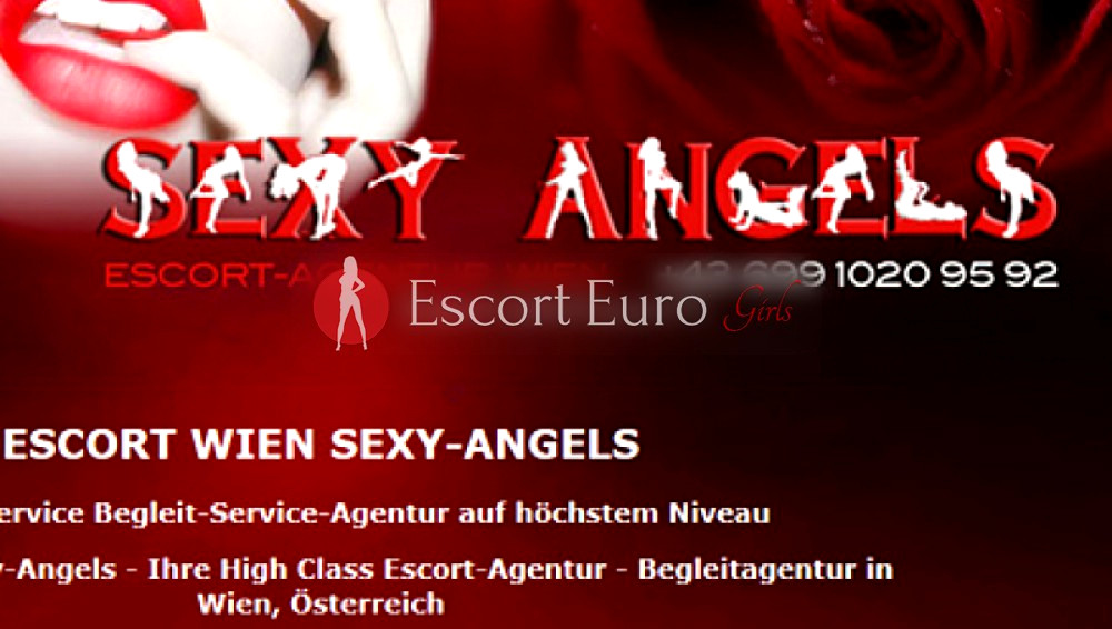 最佳护送机构的旗帜 Sexy-Angels Escort Wien在 /奥地利
