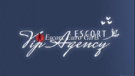 Banner der besten Begleitagentur VIP Agency escortIn /Türkei