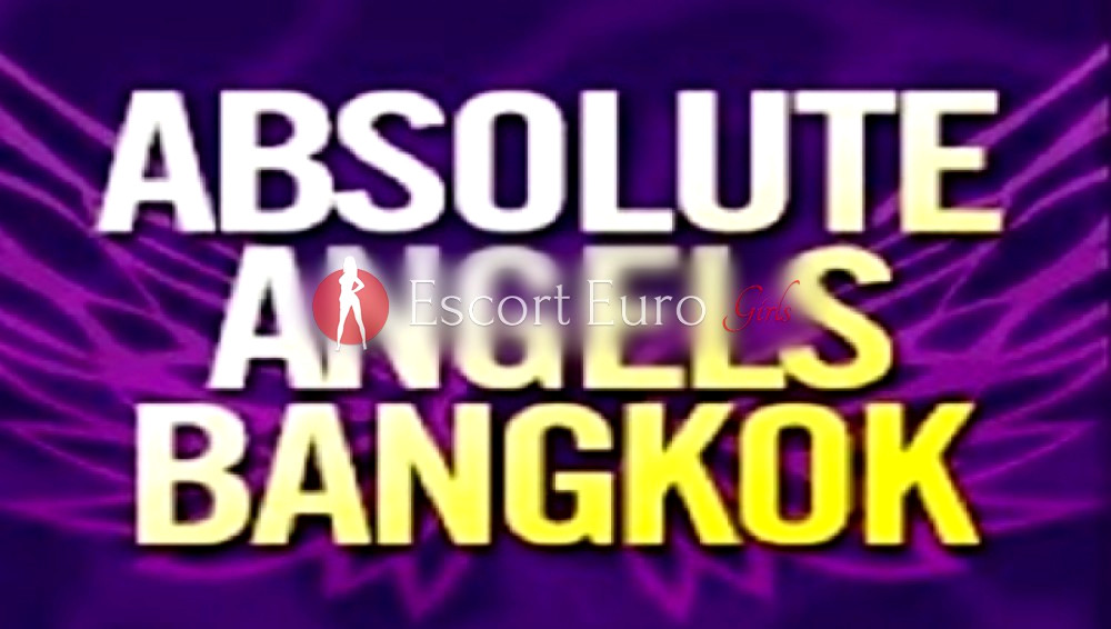 最佳护送机构的旗帜 Absolute Angels Bangkok在 /泰国